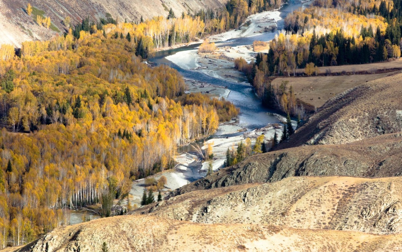 新疆，神秘美丽的土地🌄